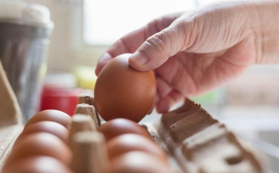 Salmonella outbreak: What we know so far