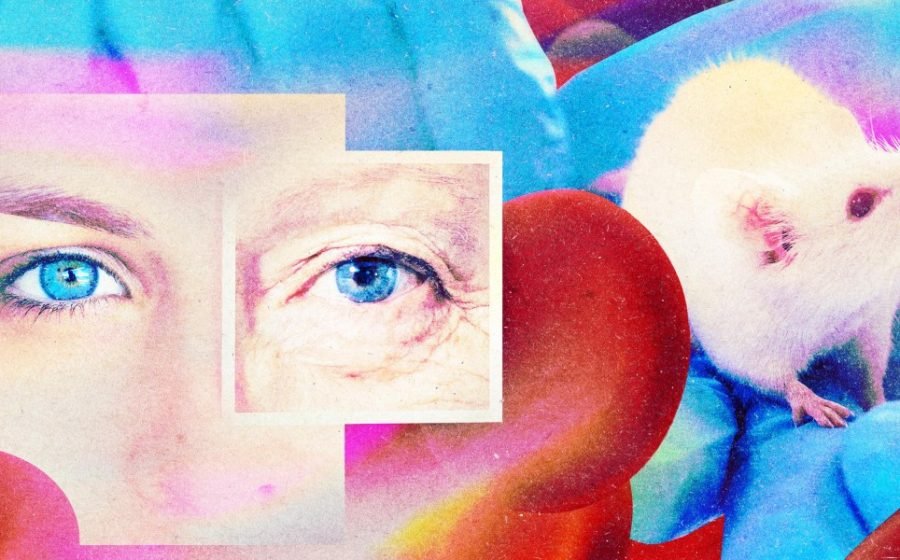 A startup claims it’s found a drug to make your blood young