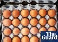 Salmonella cases in UK likely to rise until source of outbreak is found