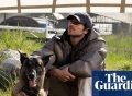 From The Dog Stars to Erykah Badu: your complete entertainment guide to the week ahead