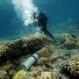 Galápagos corals show El Niño events are more extreme now than in past 1,000 years