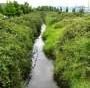 Many cities buried urban streams. Here's how to bring them back