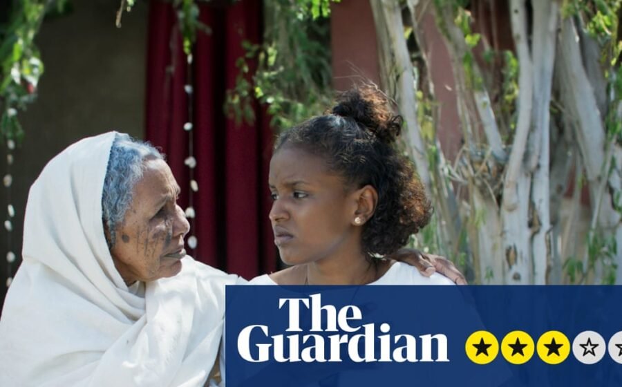 Cotton Queen review – mystery, matriarchs and magic in pioneering Sudanese debut
