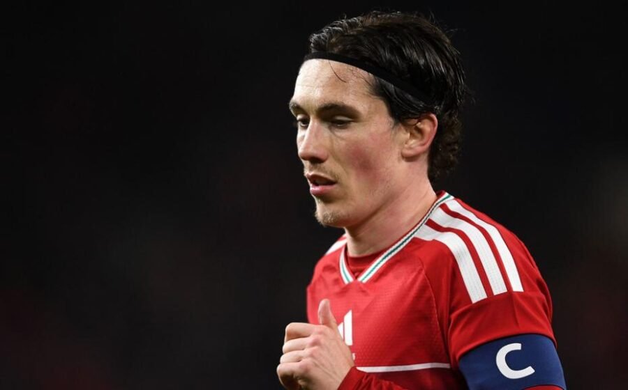 Wilson major Wales injury concern for Nations League