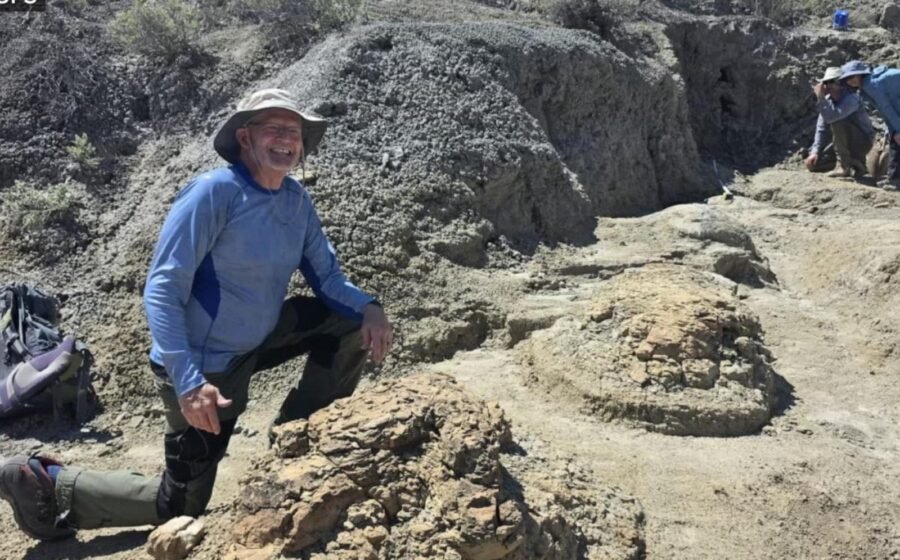 WATCH: High school teacher discovers T. rex tracks in North Dakota