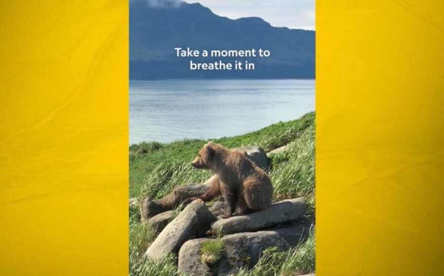 WATCH: Nat Geo's 'Moment on the Earth' captures bears in Alaska’s Katmai National Park