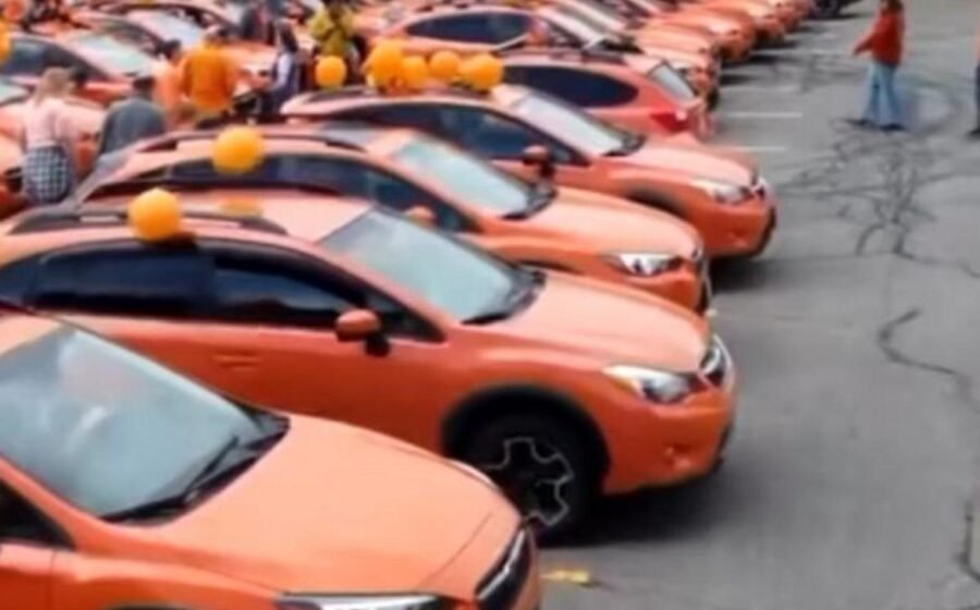 WATCH: Annual orange car parade grows in popularity