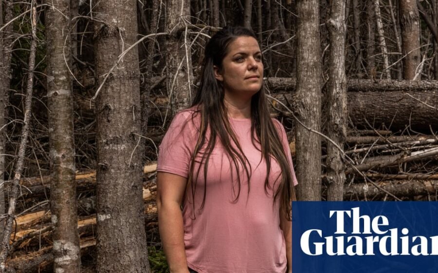 ‘It’s just getting worse’: anger in Maine over Trump’s trade war with close neighbor Canada