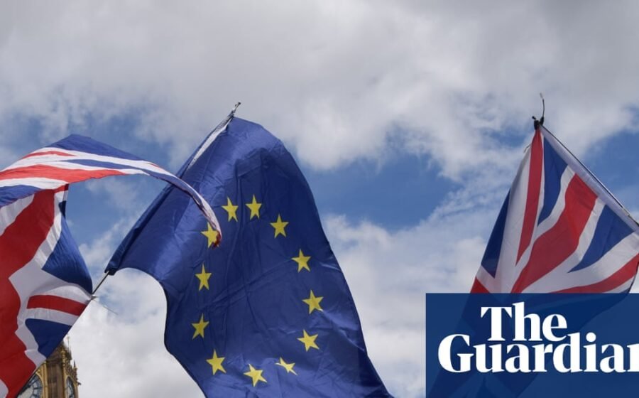No 10 gathering evidence on public support for rejoining the EU