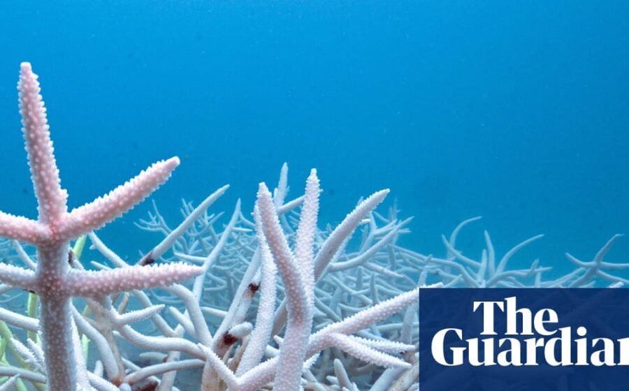 World’s seas heated by a record 23 zettajoules last year
