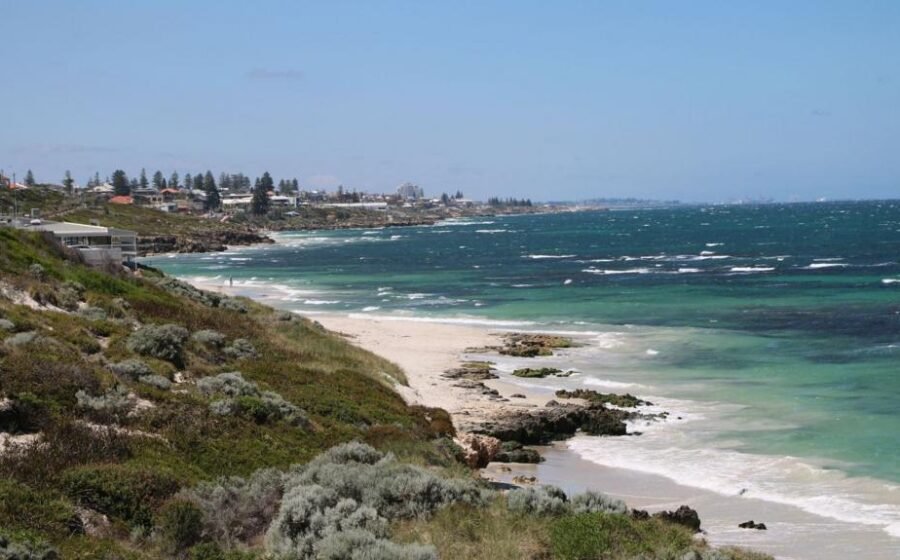 Swimmer killed in shark attack off Australian west coast