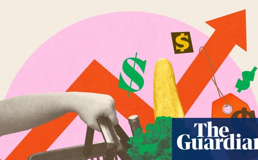 ‘I pay a lot more for fewer and fewer items’: five US shoppers on their food budgets