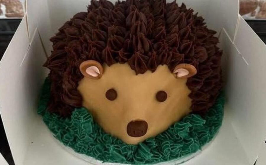The volunteers baking birthday cakes for children