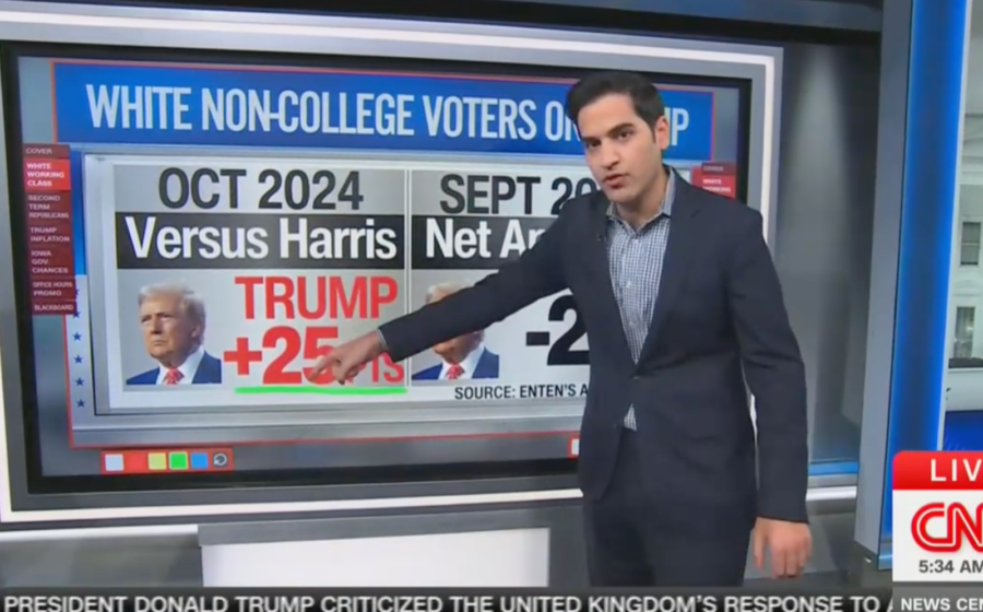 One demographic is ‘ripping the heart out of Trump’s presidency,’ pollster warns