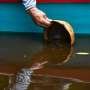 Guatemala ensures survival of vulnerable 'fossil' fish