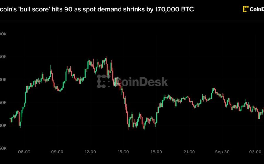 Bitcoin rally shows signs of cooling even as a 'bull score' gauge nears its perfect score