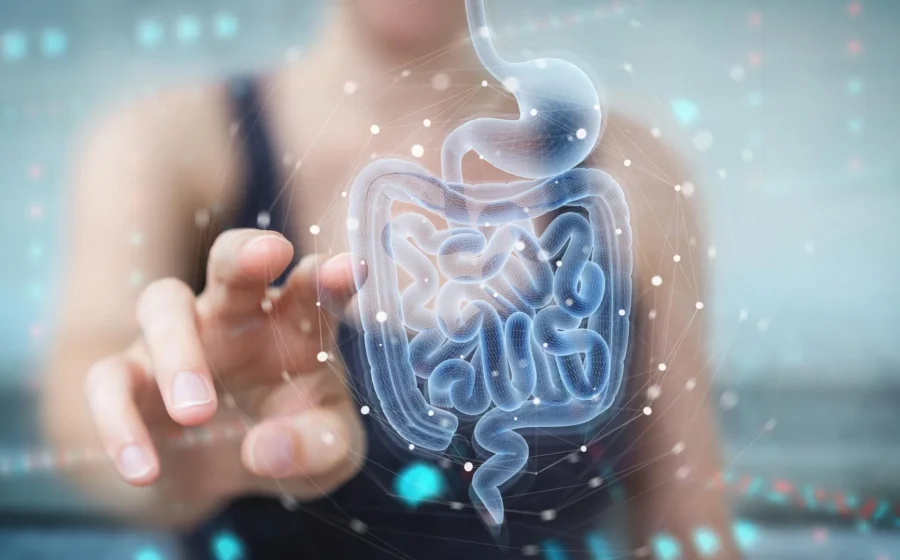 Scientists find a natural gut compound that helps heal the intestine