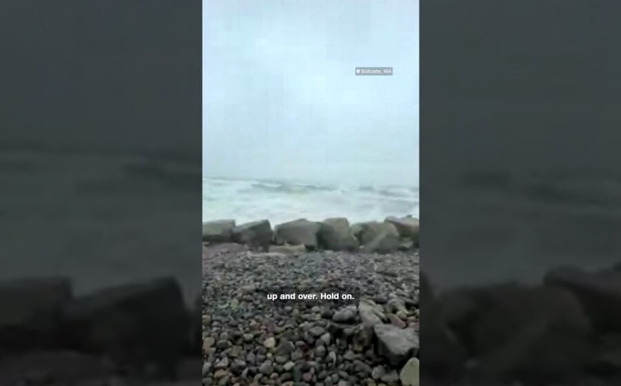 CNN Weather Meteorologist loses hat playing catch in the nor’easter