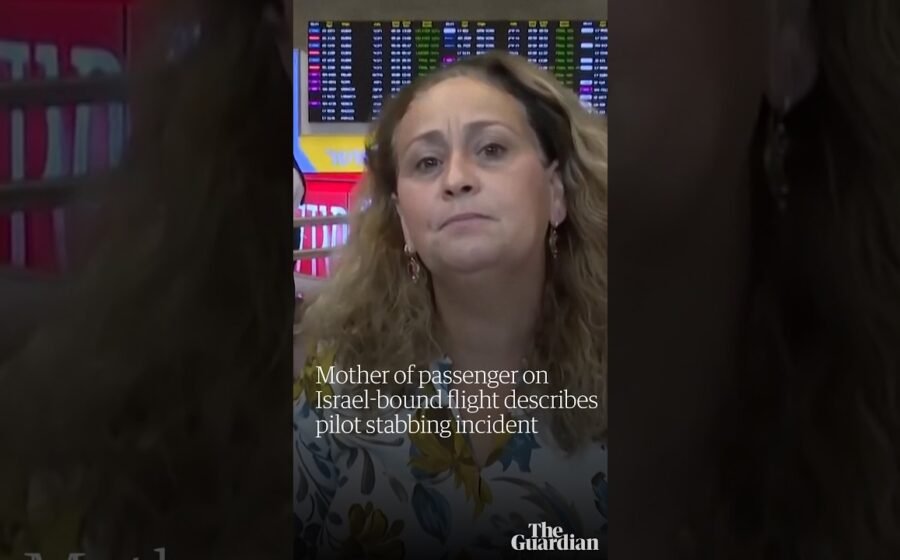 Mother of passenger on Israel-bound flight describes pilot stabbing incident