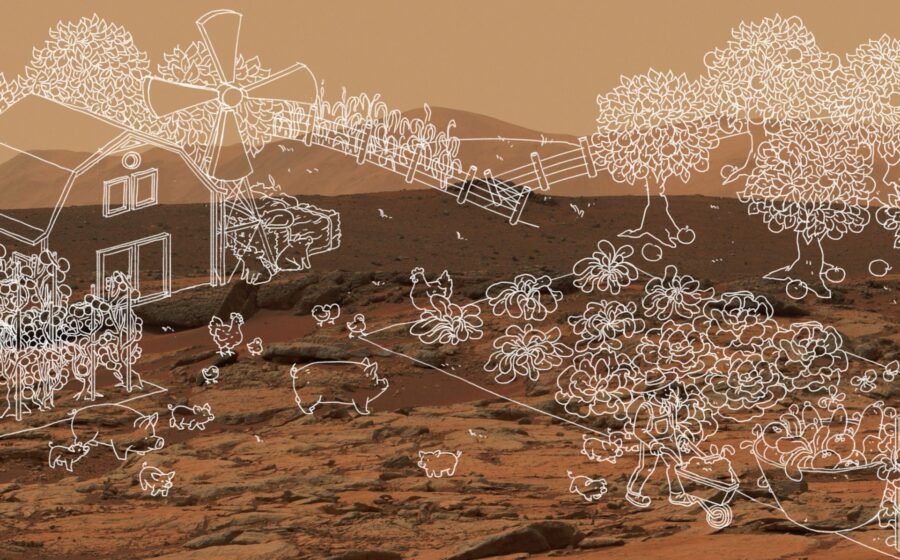 The Download: a bid to scrap the virtual wall and AI hits Climate Week