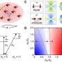 An extremely stable quantum gas offers a new lens on strongly interacting systems