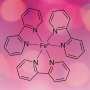 Why high levels of the amino acid cysteine are toxic to cells
