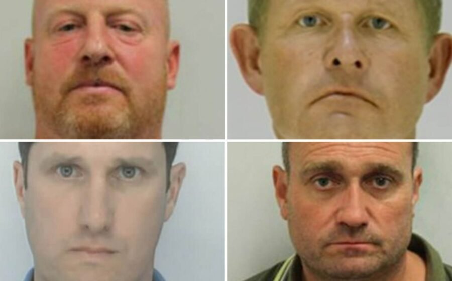 Gang jailed over plot to import cocaine and ketamine in frozen fish deliveries