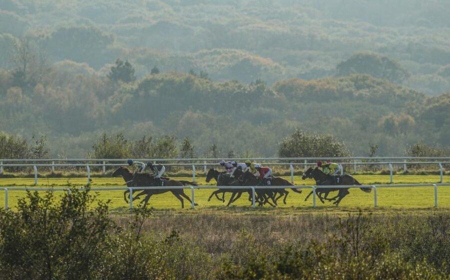 Romanza seeks first success at Ffos Las
