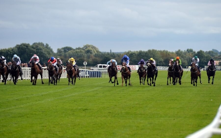 Eye Of Dubai looks to retain Ripon crown