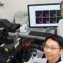 Unlocking the cell's supply chain: How cholesterol keeps cellular recycling centers running