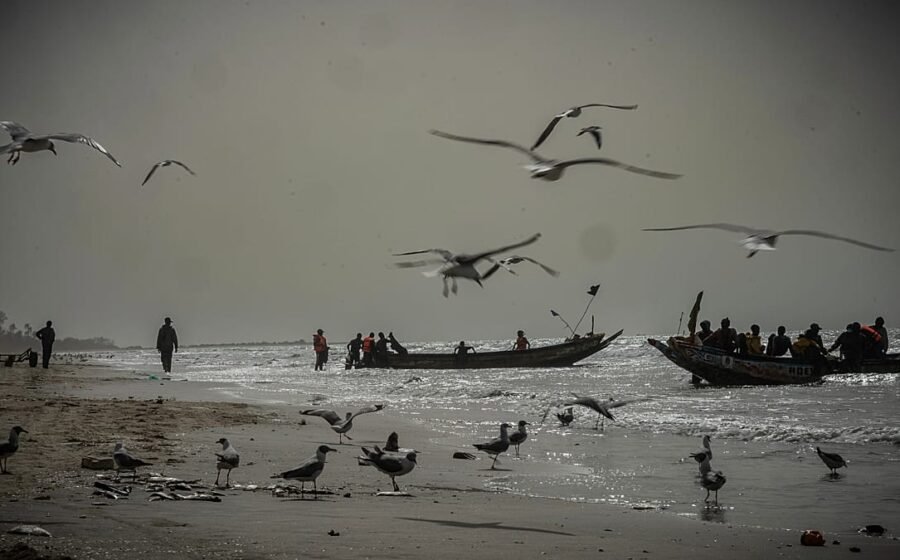 At least 12 dead after migrant boat sinks off Gambia