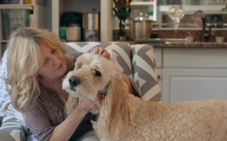 When 2 dogs went missing in a car crash, a volunteer spent weeks searching