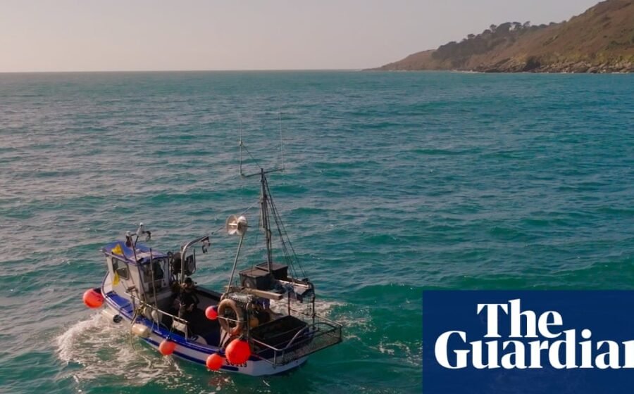 Floating scarecrows: how Cornish fishers are stopping seabirds drowning in their nets