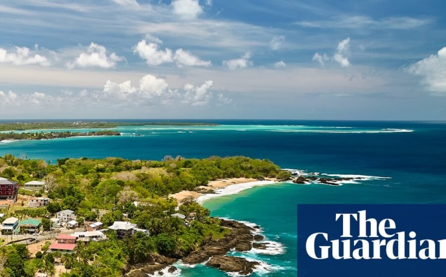 Tourism expansion v turtle nests: the dispute dividing communities in one Tobago resort
