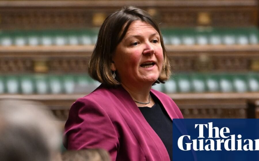Greens must avoid ‘capture by extremists and racists’, says party MP