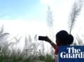 World Bank says ‘small AI’ could transform developing countries
