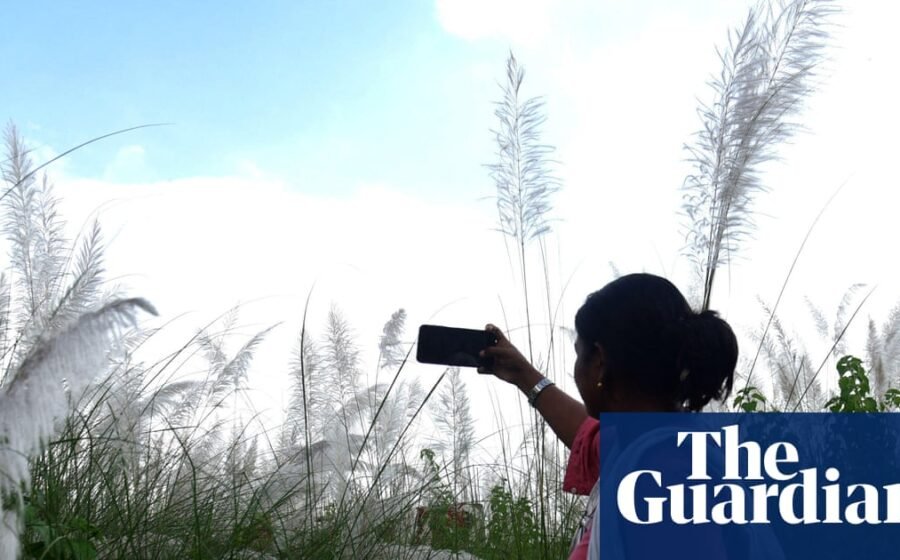 World Bank says ‘small AI’ could transform developing countries