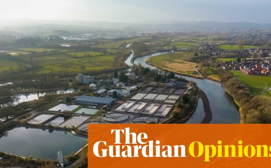 Burnham, take note: water shareholders have their uses – they can be squeezed for cash | Nils Pratley