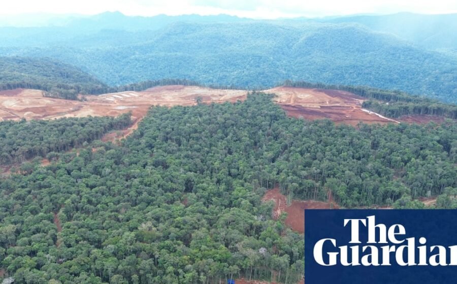 Revealed: VW, Ford and Tesla batteries linked to destructive deforestation of indigenous lands