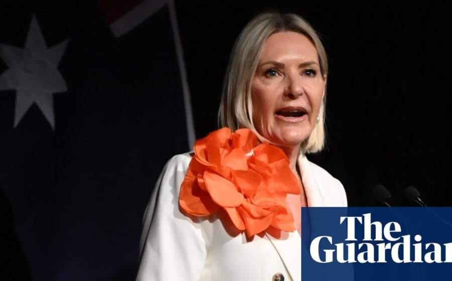 One Nation proposes $2,000 baby subsidy in Victoria but says it won’t touch state abortion laws