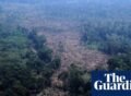 Brazilian Amazon deforestation falls to lowest on record as pivotal vote looms
