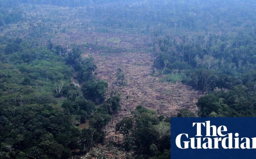 Brazilian Amazon deforestation falls to lowest on record as pivotal vote looms