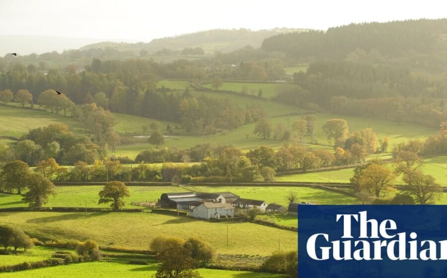 No timeline for lifting Land Registry paywall as ownership remains opaque