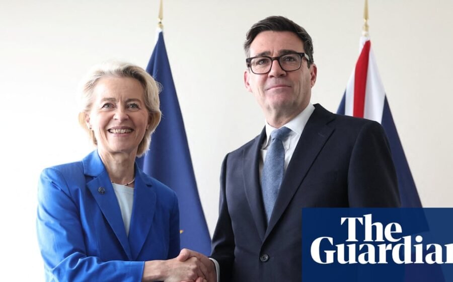 Repairing Brexit economic damage should be Burnham’s top priority, business chief says