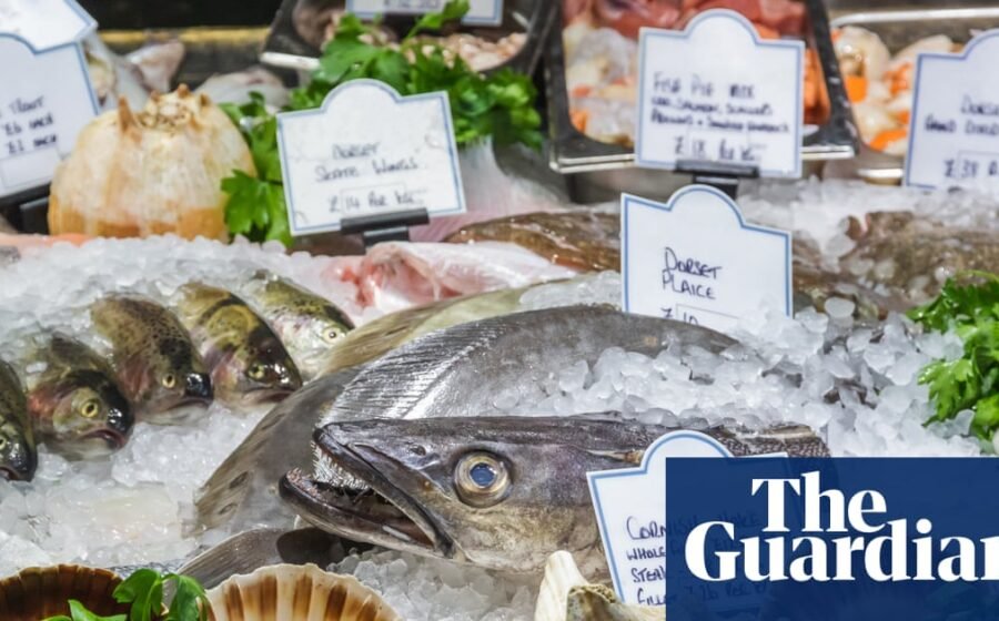Scale back on hake and coley, seafood charity tells shoppers
