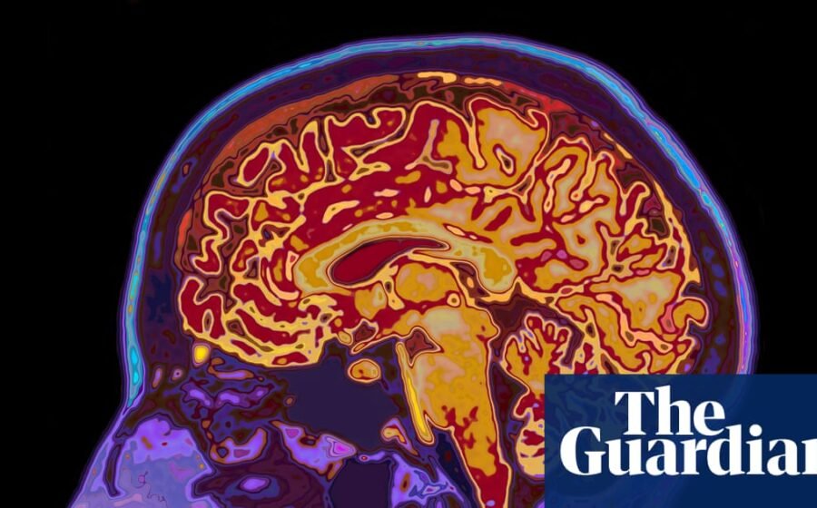 The incredible science of memory manipulation – podcast