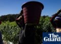 US workers facing deadly heat borrow from tomato pickers to win key protections