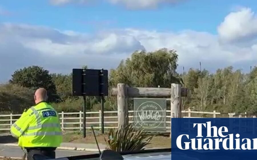 Man dies after jumping into tiger enclosure at Yorkshire zoo