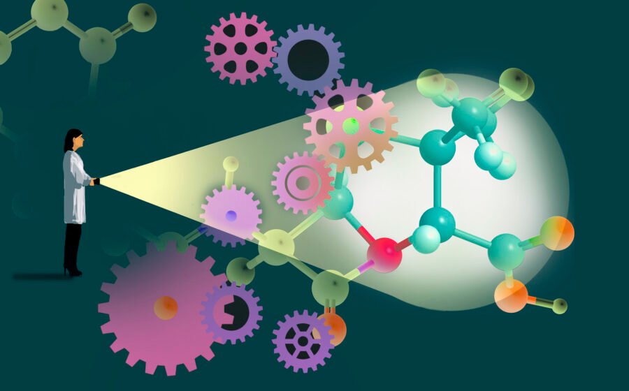 Why We Must Invest in Scientists, Not Just Science