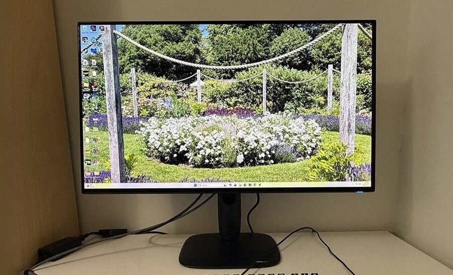 Alienware AW3226Q 32-inch 4K OLED gaming monitor review: Sleek design with performance and value to match